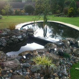 garden waterfall and pond