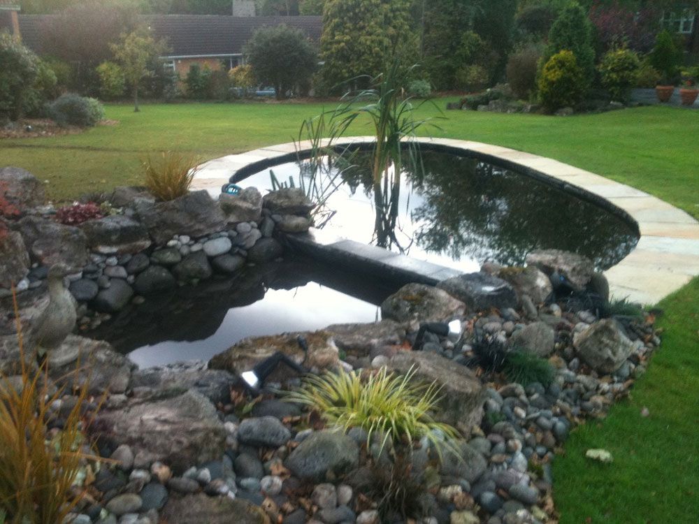 garden waterfall and pond